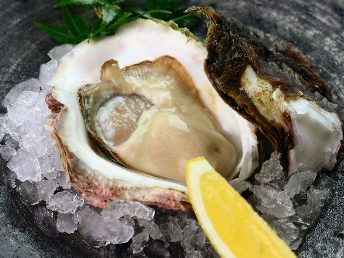 Kii no Matsushima, Inn of Seasonal Fresh Fish
