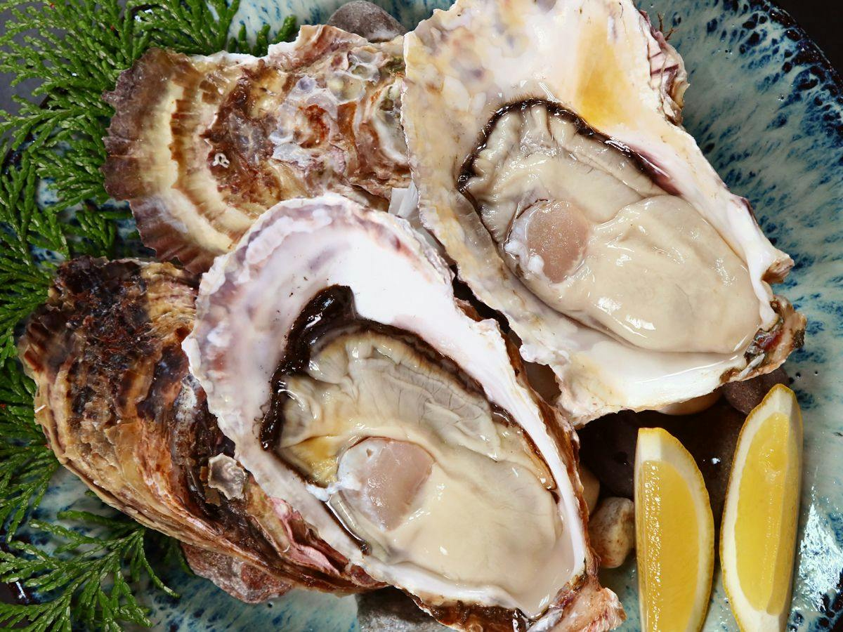 Kii no Matsushima, Inn of Seasonal Fresh Fish