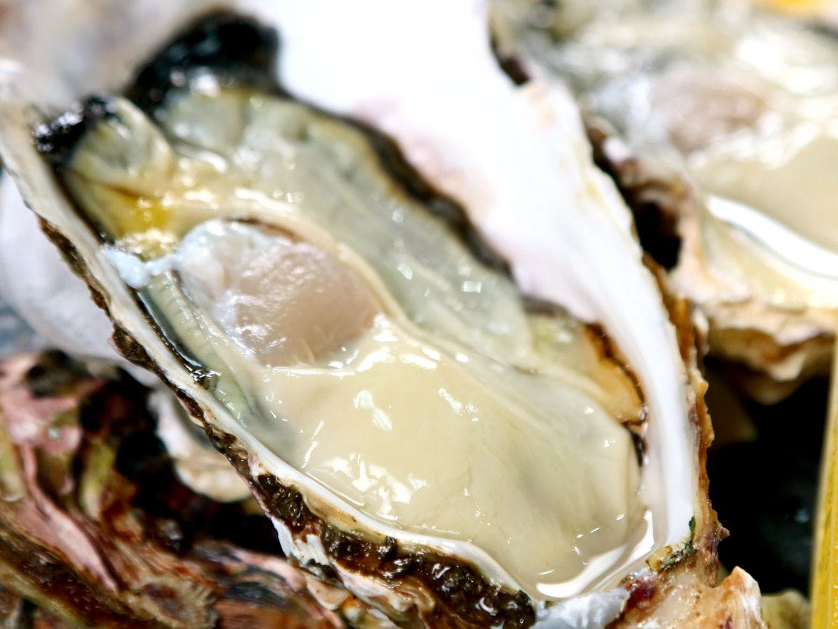 와타리 생굴◆비와 바다의 과일