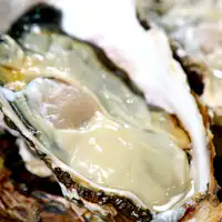 와타리 생굴◆비와 바다의 과일