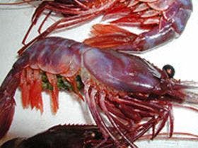 天然湯　見晴荘