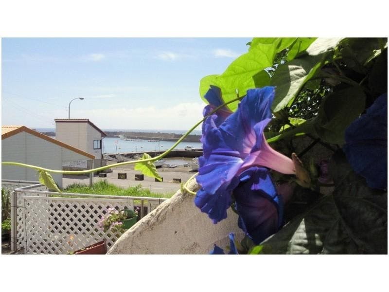 สภาพอากาศอบอุ่น