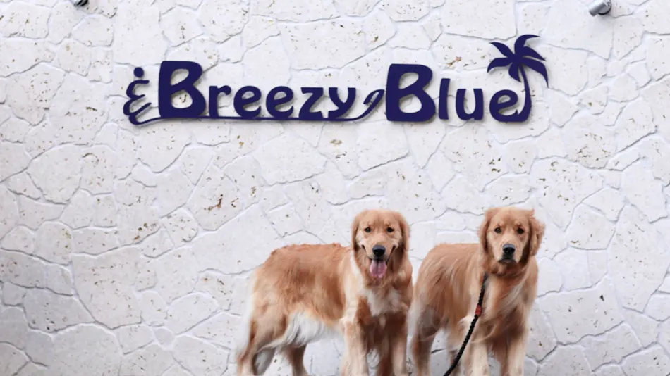 Breezy Blue