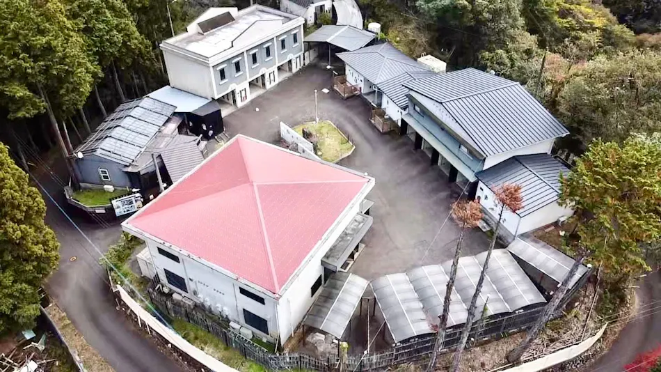 Free Days Resort Sakura Sanri