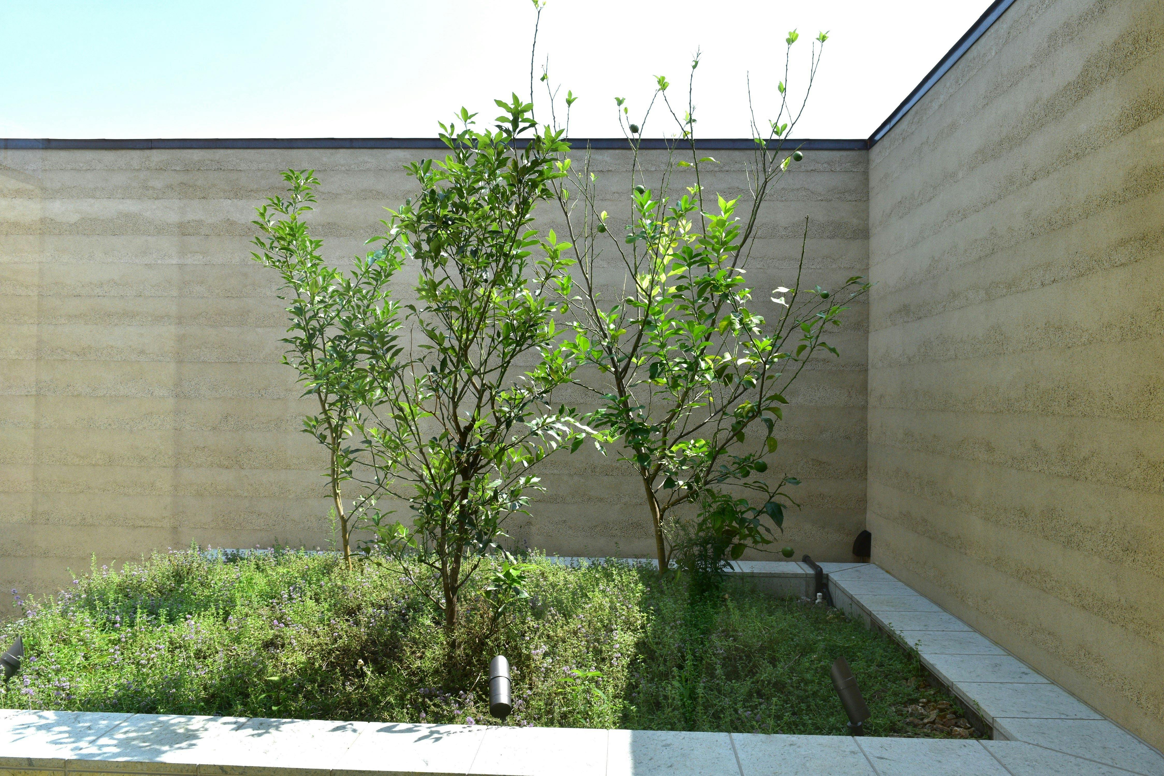 Jyu Kyoto Ogawa Syouyaku Villa