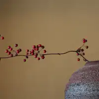 การจัดวางภายใน