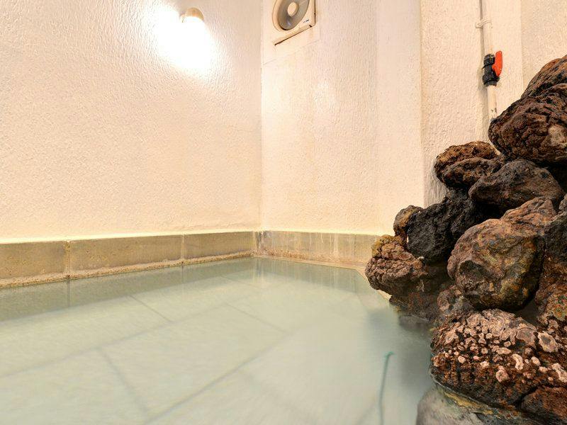 Kusatsu Onsen Two Types of Hot Springs Iijima Inn
