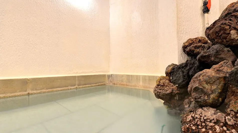 Kusatsu Onsen Two Types of Hot Springs Iijima Inn