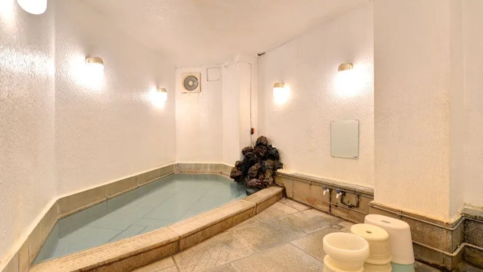 Kusatsu Onsen Two Types of Hot Springs Iijima Inn