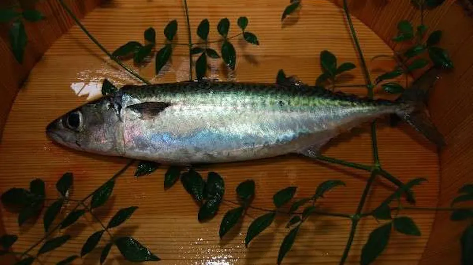 Ebisuya Ryokan