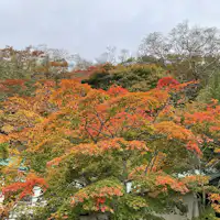 เรียวกังกับใบไม้เปลี่ยนสี