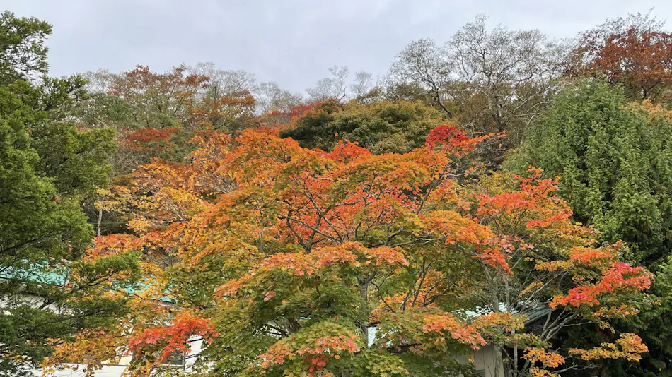 Japanese Inn Aoki Ryokan