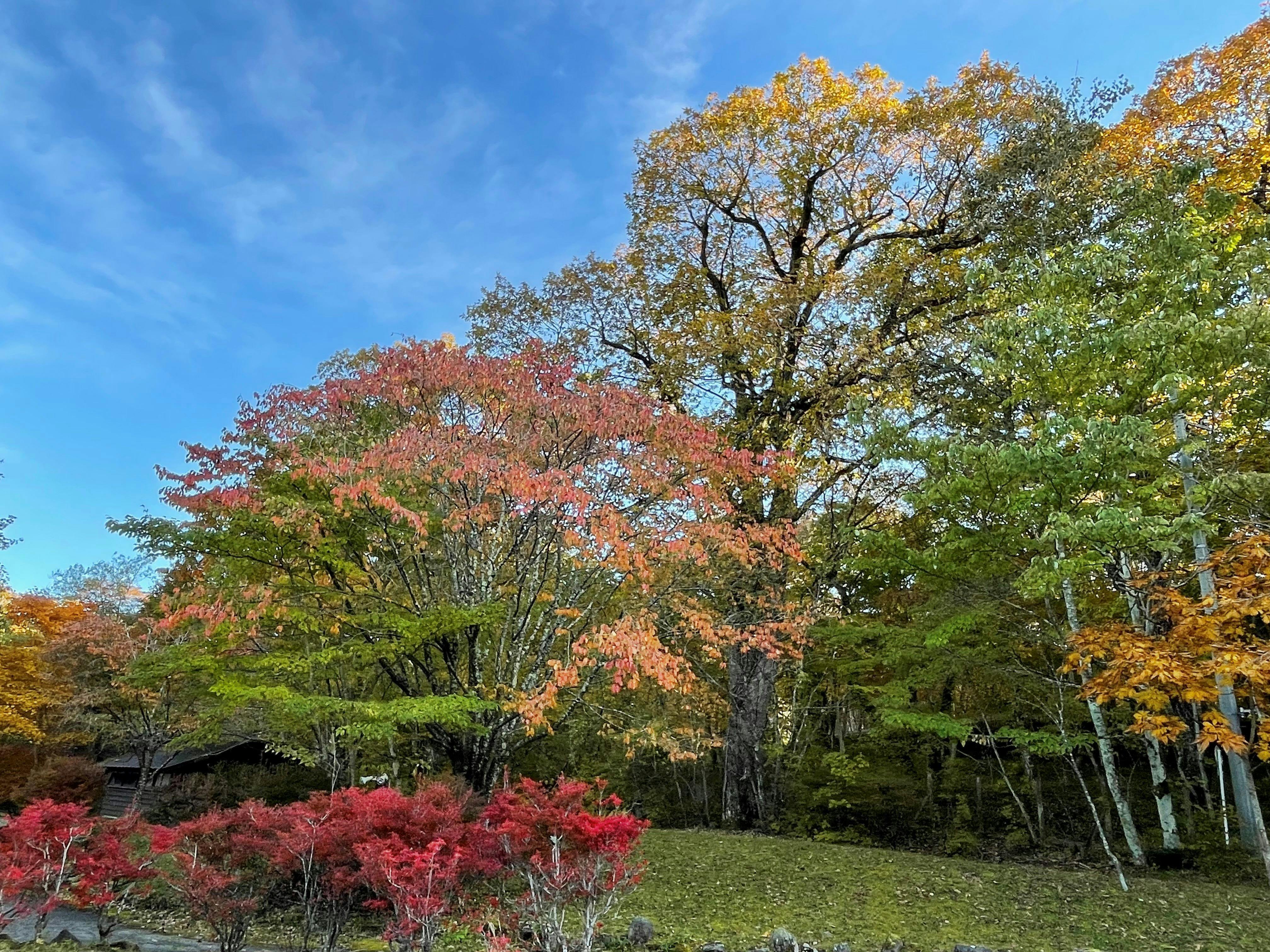 Japanese Inn Aoki Ryokan