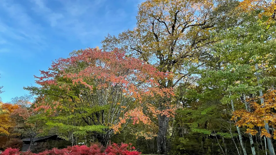 Japanese Inn Aoki Ryokan