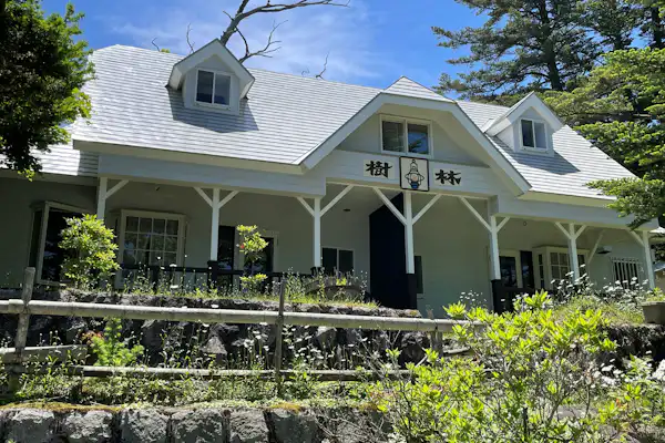 "วิวจากโอนุมะ: 'ป่าไม้'"