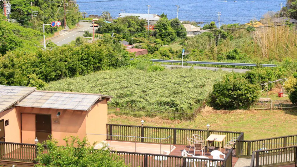 Asian Resort for Relaxation with Your Beloved Dog - Umi Yado Taiyojin