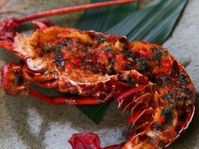 海宿 太陽人