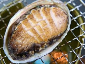 海宿 太陽人