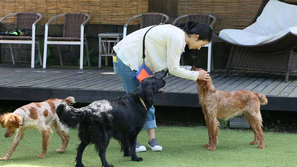 Asian Resort for Relaxation with Your Beloved Dog - Umi Yado Taiyojin