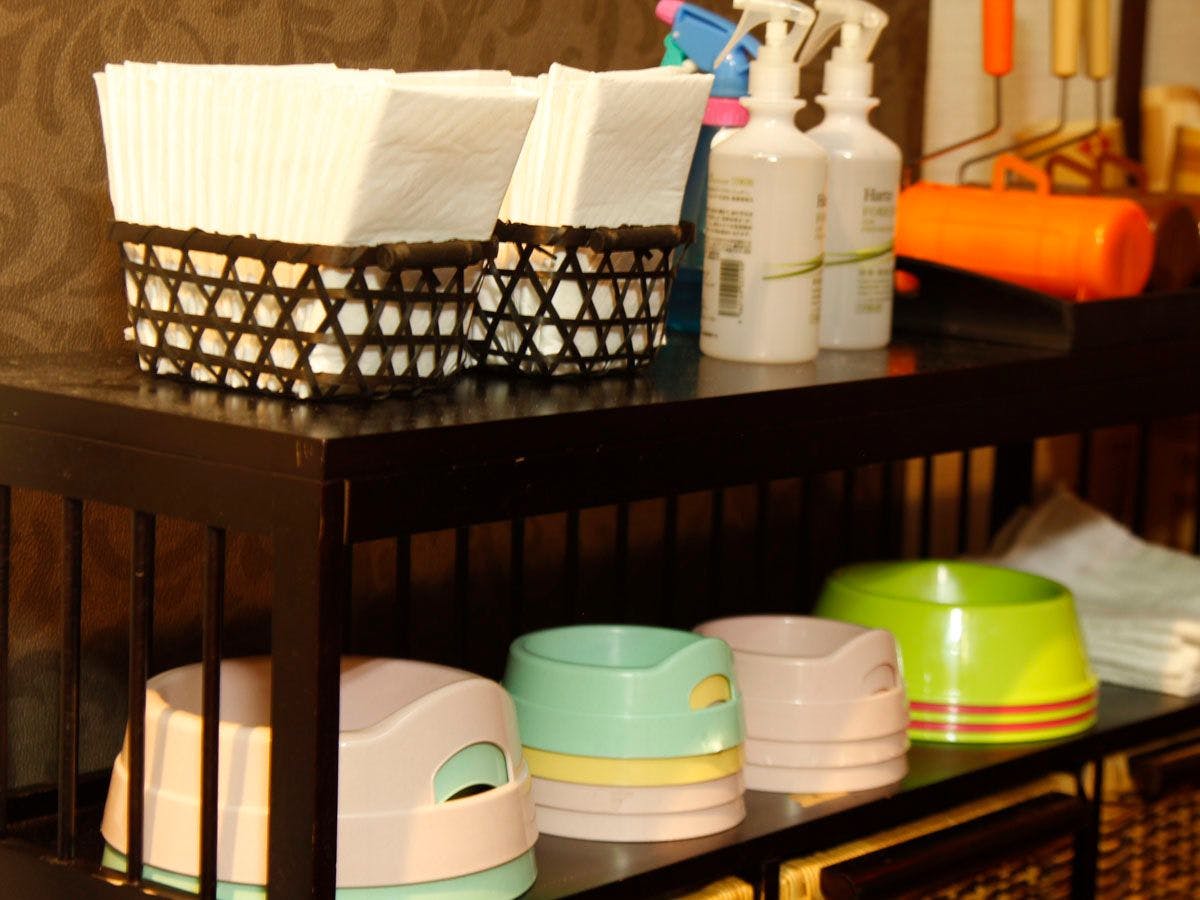 【บริการ】สิ่งอำนวยความสะดวกสำหรับน้องหมา