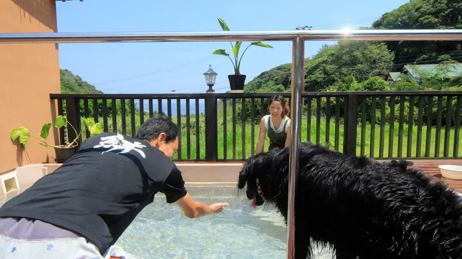 Asian Resort for Relaxation with Your Beloved Dog - Umi Yado Taiyojin