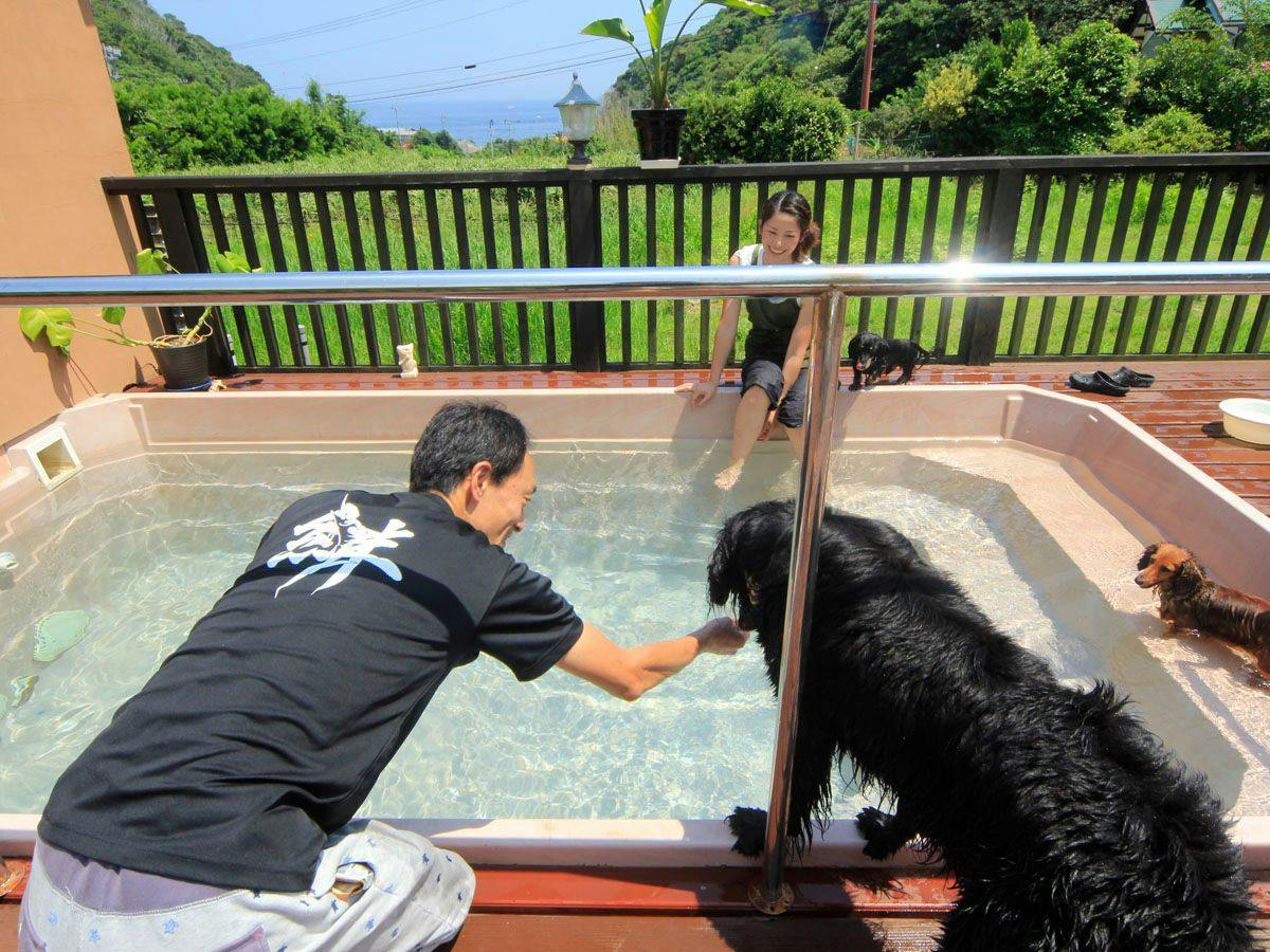 Asian Resort for Relaxation with Your Beloved Dog - Umi Yado Taiyojin