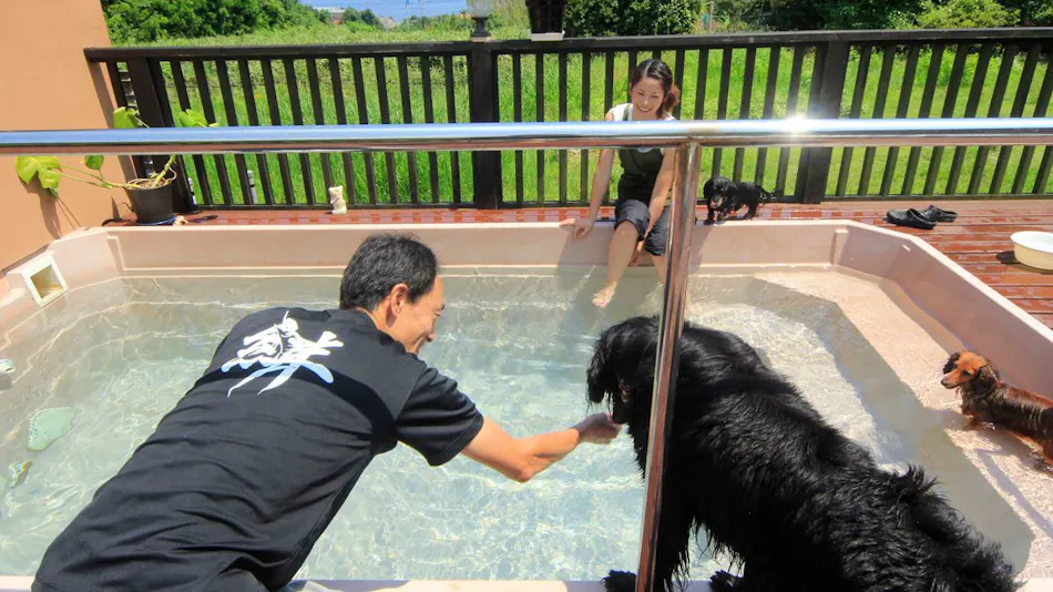 Asian Resort for Relaxation with Your Beloved Dog - Umi Yado Taiyojin