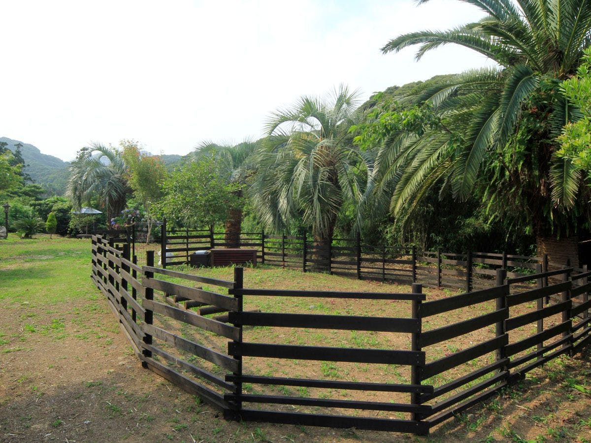 Asian Resort for Relaxation with Your Beloved Dog - Umi Yado Taiyojin