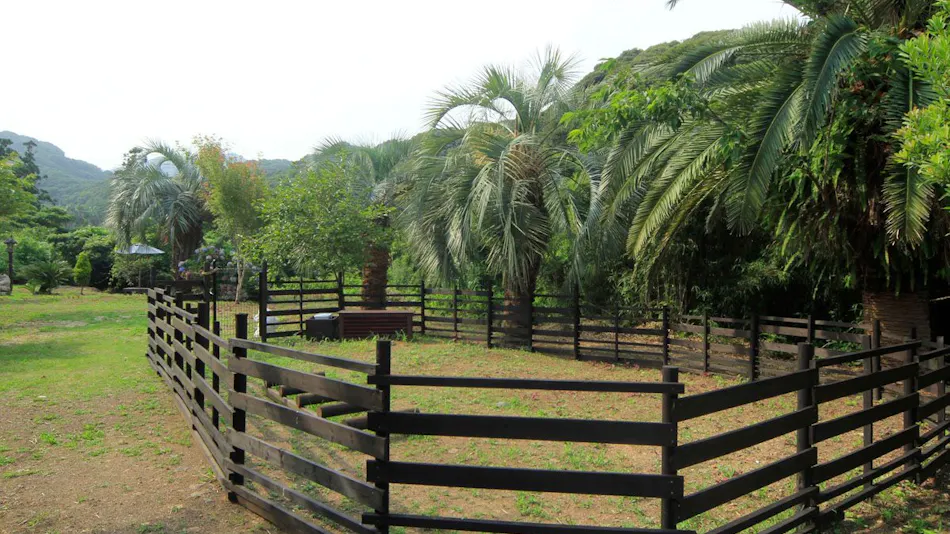 Asian Resort for Relaxation with Your Beloved Dog - Umi Yado Taiyojin