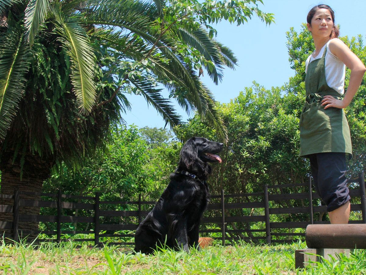 สิ่งอำนวยความสะดวก: ลานวิ่งเล่นสำหรับสุนัข