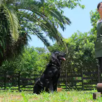 สิ่งอำนวยความสะดวก: ลานวิ่งเล่นสำหรับสุนัข