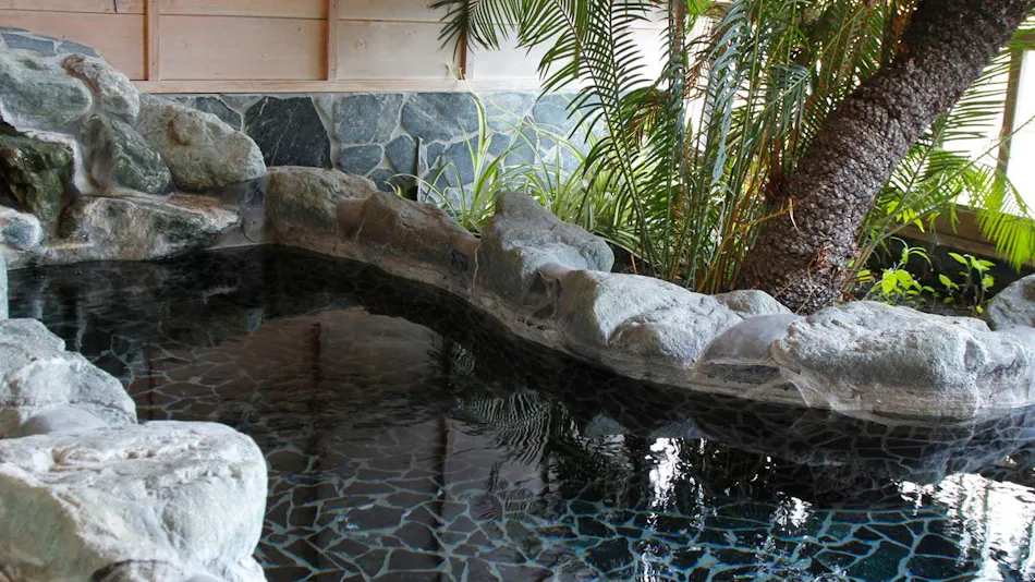 Asian Resort for Relaxation with Your Beloved Dog - Umi Yado Taiyojin