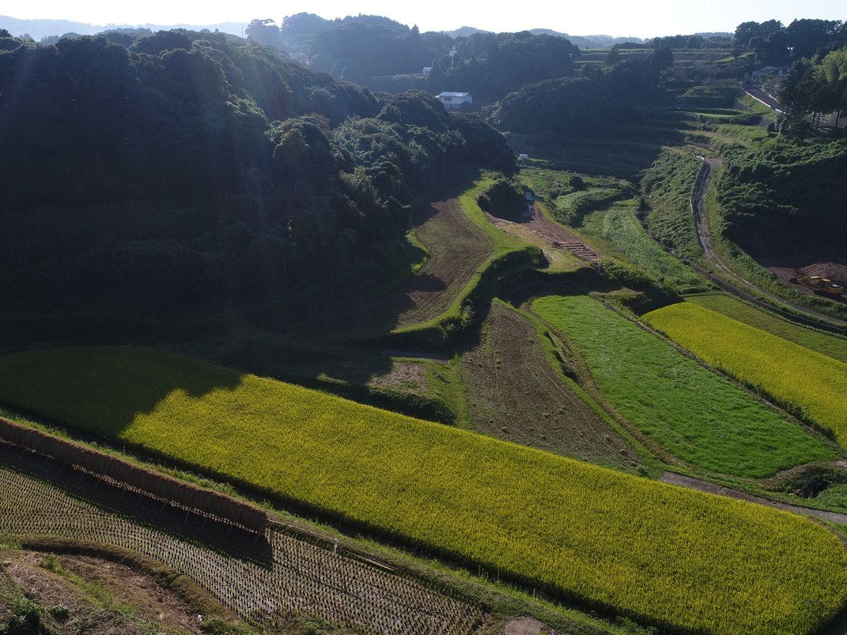 นาขั้นบันไดที่แผ่กว้างอยู่หน้าที่พัก