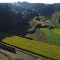 นาขั้นบันไดที่แผ่กว้างอยู่หน้าที่พัก