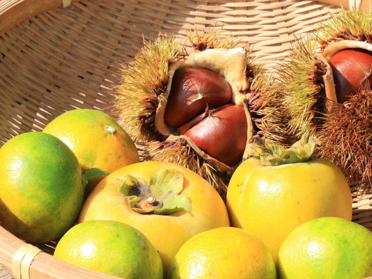 ผักปลูกเอง