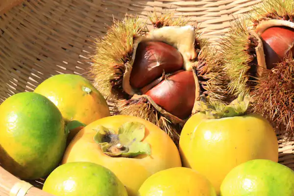 ผักปลูกเอง