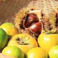 ผักปลูกเอง