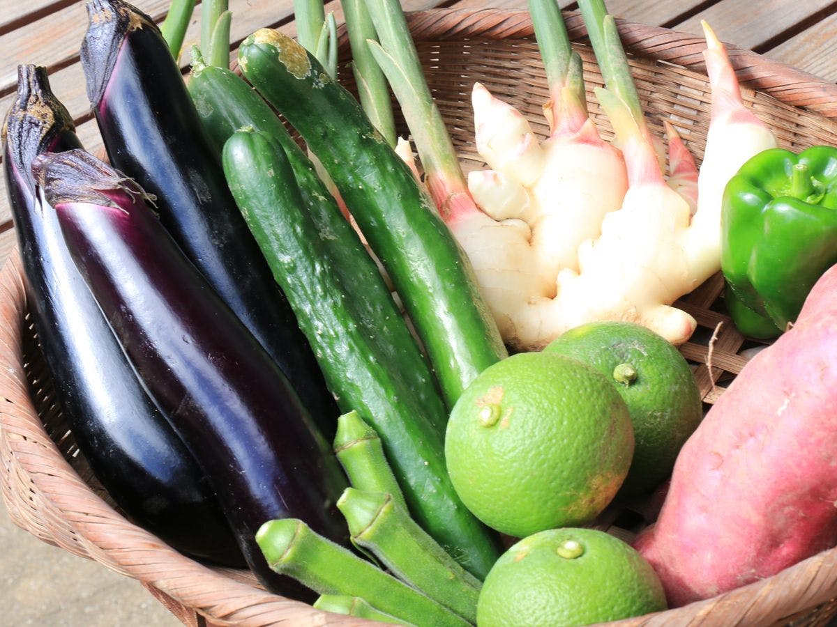 ผักปลูกเอง