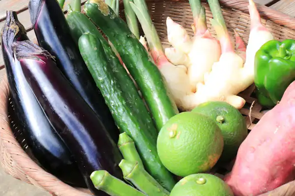 ผักปลูกเอง