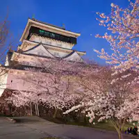 ปราสาทโอกุระ