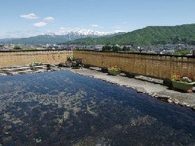 ほてる木の芽坂