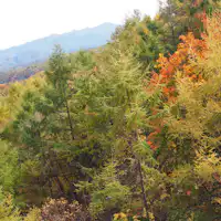 觀光景點(秋)