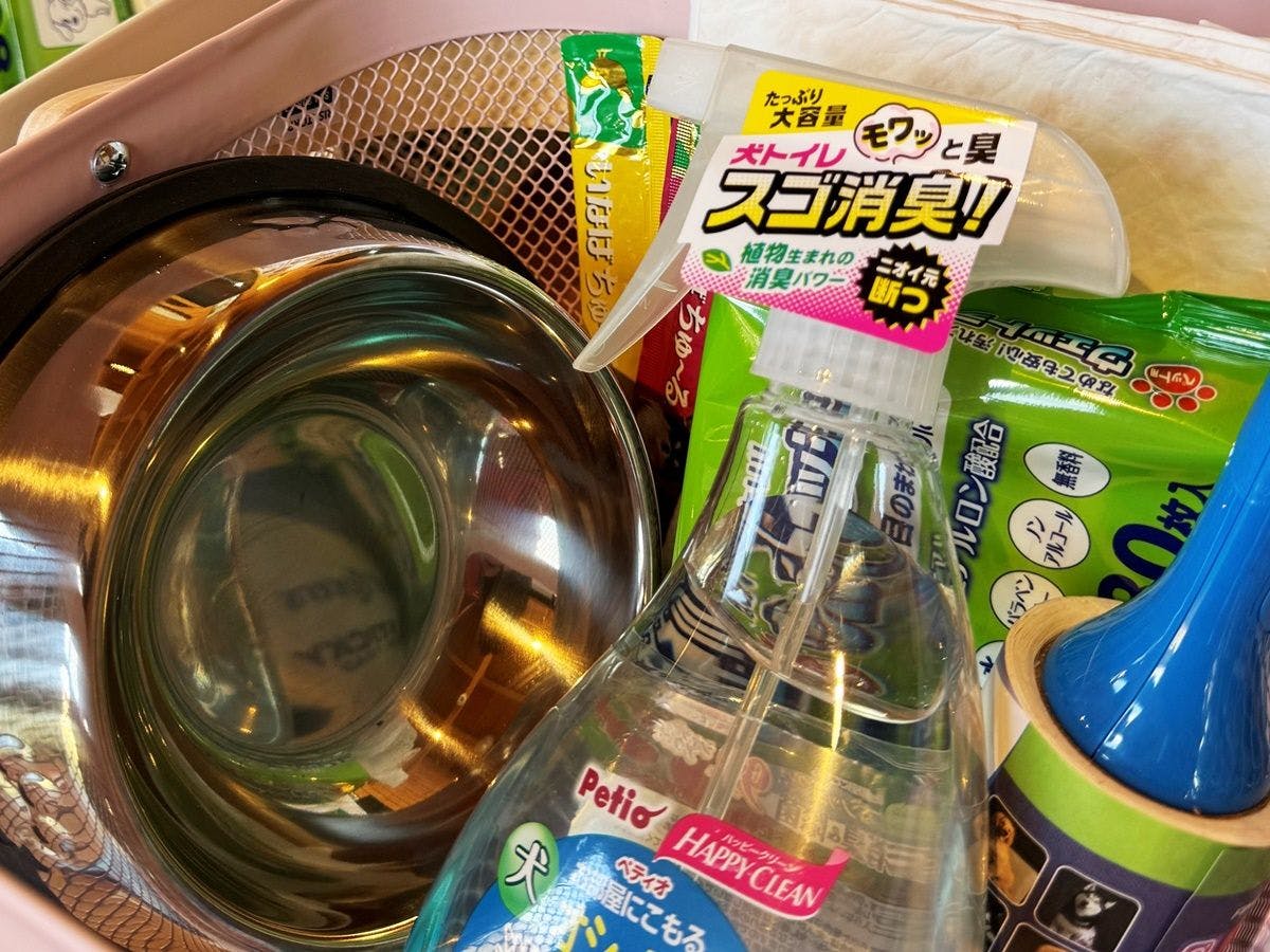 ตัวอย่างชุดสิ่งอำนวยความสะดวกสำหรับสุนัข