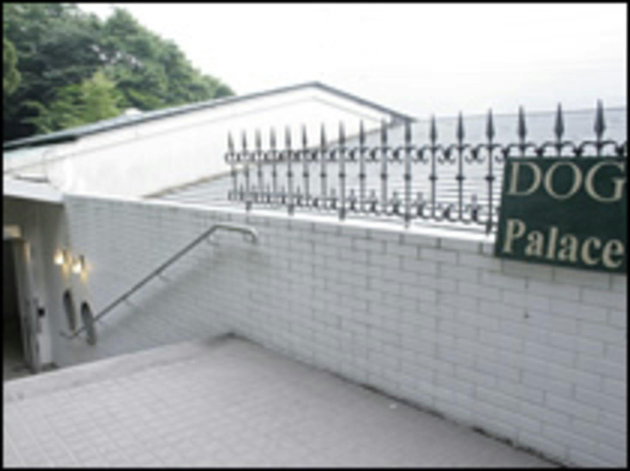 Dog Palace Resort Hakone