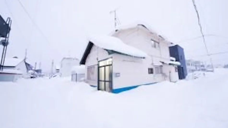 Nordic House