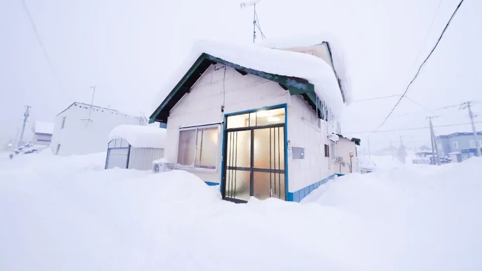 Nordic House