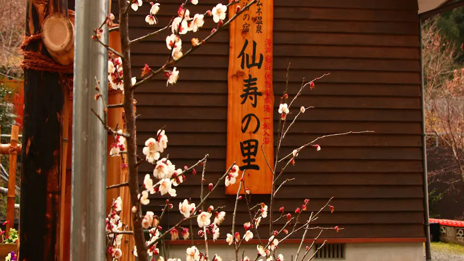 Senyu no Sato Ramune Onsen