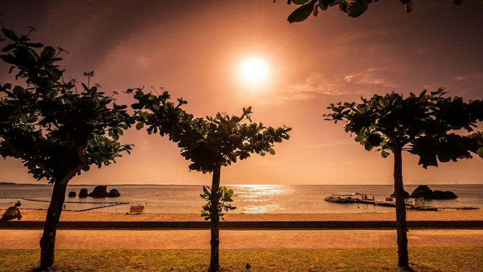 Hotel Sunset Terrace