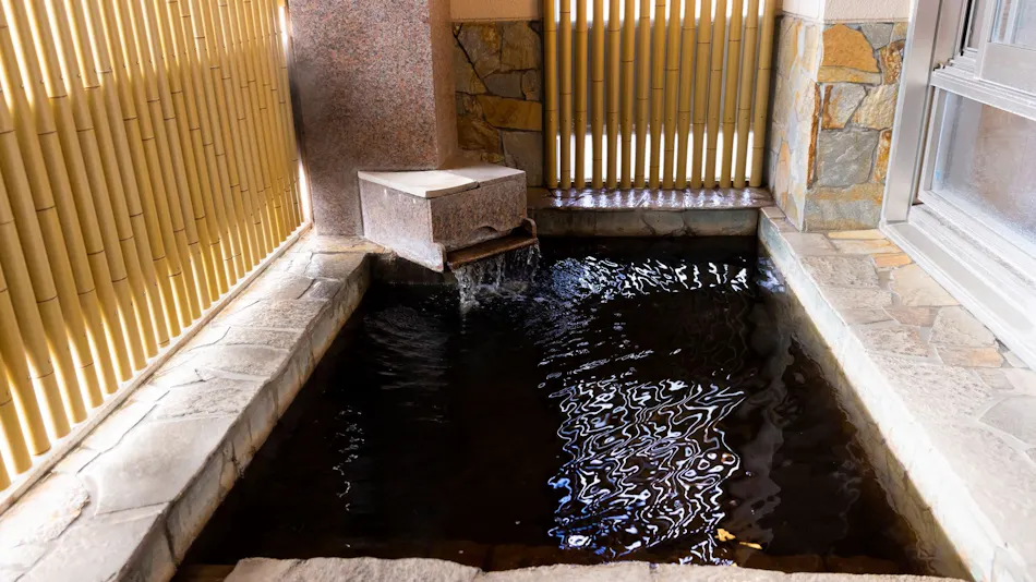 Ariston Hotel Oita