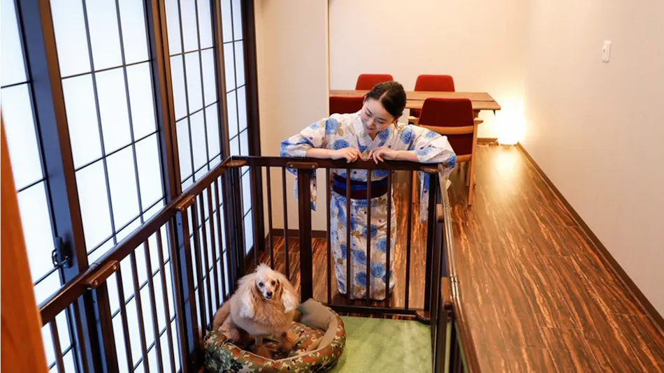 Kinosaki Onsen Hanamandara